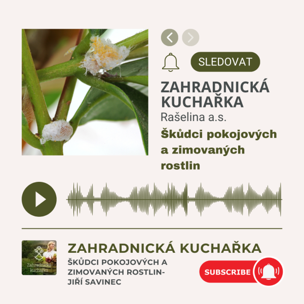 Podcasty zahradnicka kuchaka 3