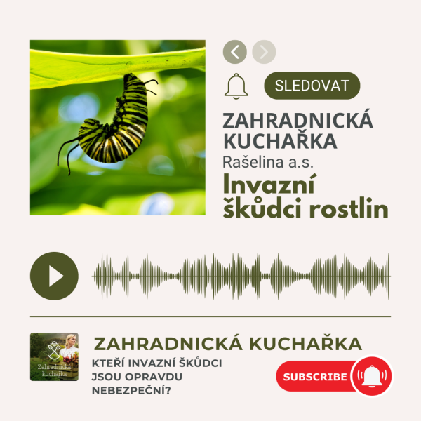 Zahradnicka kuchaka 6